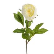 Peony Stem Cream 63.7cm image