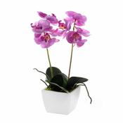 Potted Orchid Mini Pink 33cm image