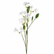 Stephanotis Spray White 88cm image