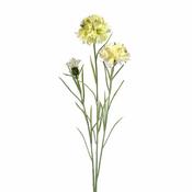 Meadow Cornflower Cream 56cm image