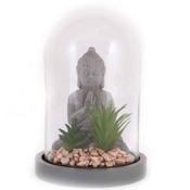 Buddha and Succulents In Dome Height 21cm image