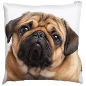 Pug Photo Design Cushion Cover with Insert 50x50cm image