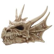 Dragon Skull Decoration image