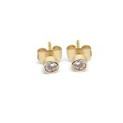 Newbridge Goldplate Stud Earrings Clear Stones image