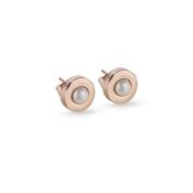 Newbridge Droplet Rose GP Earrings Cream image