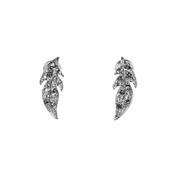 Earrings image