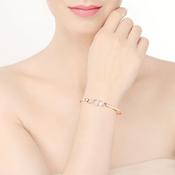 Newbridge Droplet Bangle Coloured Stone image