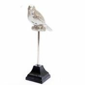 Silver Bird on Black Metal Base H26cm image