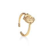 Small Coin Ring image