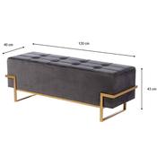 Kyla Ottoman Gold Legs Charcoal Grey Length 120cm image