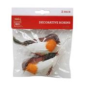 Décorative Robins 2 Piece image