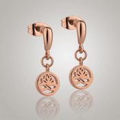 Rose Gold Plate Stud Earrings Clear image