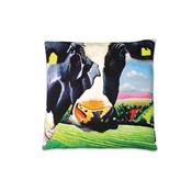 Tipperary Crystal Belle of The Ball 45cm Cushion image