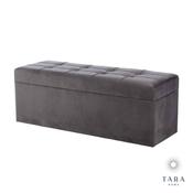 Vienna Charcoal Grey Trunk with Storage image