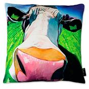 Tipperary Crystal Moover And Shaker 45cm Cushion image
