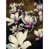 Sarah Caswell Magnolia Silk Canvas Art 60x80cm image