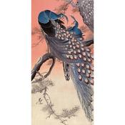 Ohara Koson Two Peacocks on Tree Branch 50 x100cm image