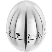 Stellar Egg Shaped Timer image