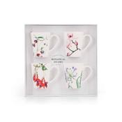 Botanic Studio Set of 4 Mugs image