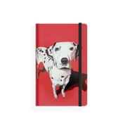 Eoin OConnor Mutz A5 Notebook Cruella image