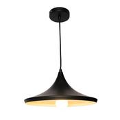 Gia Modern Flared Pendant Light image