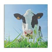 Cow Selfie Canvas 59x59cm image