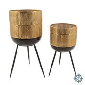 Iris Set of 2 Gold Footed Planters LG52x24cm image