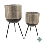 Iris Set of 2 Silver Planters LG52x24cm image