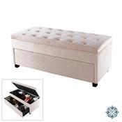 Velvet Shoe Trunk Champagne
