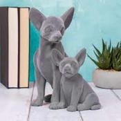 Grey Velvet Twin Chihuahuas image