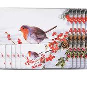 Robins Set of 6 Placemats and Coasters image