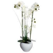 Faux White Orchid with White Ceramic Vase H53m image