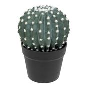 Round Artificial Cactus in Pot H25cm image