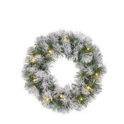 Norton LED Wreath Green 45 Frosted Tips D35cm image