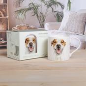 Jack Russell China Mug in Gift Box image