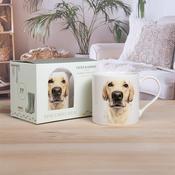 Golden Labrador China Mug in Gift Box image
