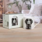 Black Labrador China Mug in Gift Box image