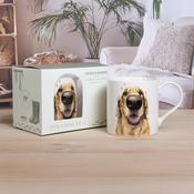 Golden Retreiver China Mug in Gift Box image