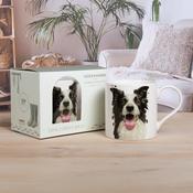 Collie China Mug in Gift Box image