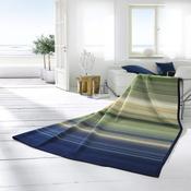 Biederlack Throw Ombre Stripe Green image