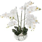 Large White Orchid in Marble Look Pot H66cm image