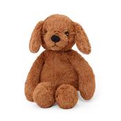 Brown puppy