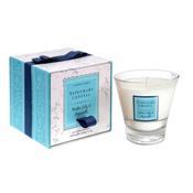 Water Lily &amp; Hyacinth Tumbler filled candle image