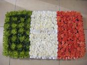 Fresh Irish Flag