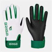Core Gaelic Glove - White/Green - Youth L; White