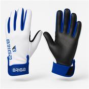 Core Gaelic Glove - White/Royal - L; White image