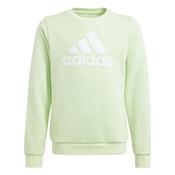 Girls Big Logo Sweatshirt - Green/White - Age 14/15; Green image