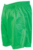 Micro Stripe Football Shorts - Adult - Green - S; Green image