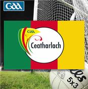 Carlow GAA 5ft x 3ft County Flag - Green/Red/Yellow - Green; O/S