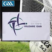 Kildare GAA 5ft x 3ft County Flag - White - White; O/S image